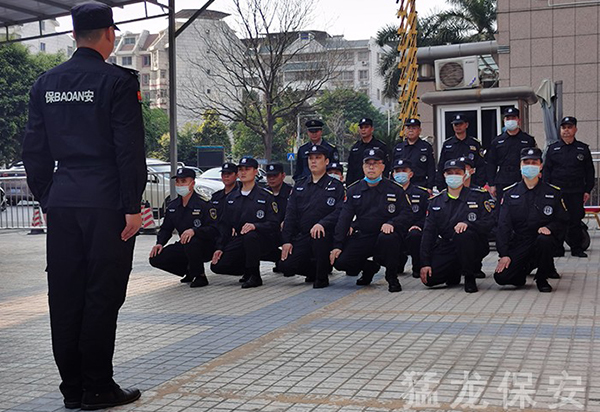 高端人力護衛